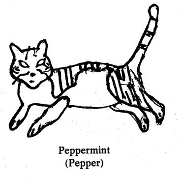 Peppermint Unisex T-Shirt